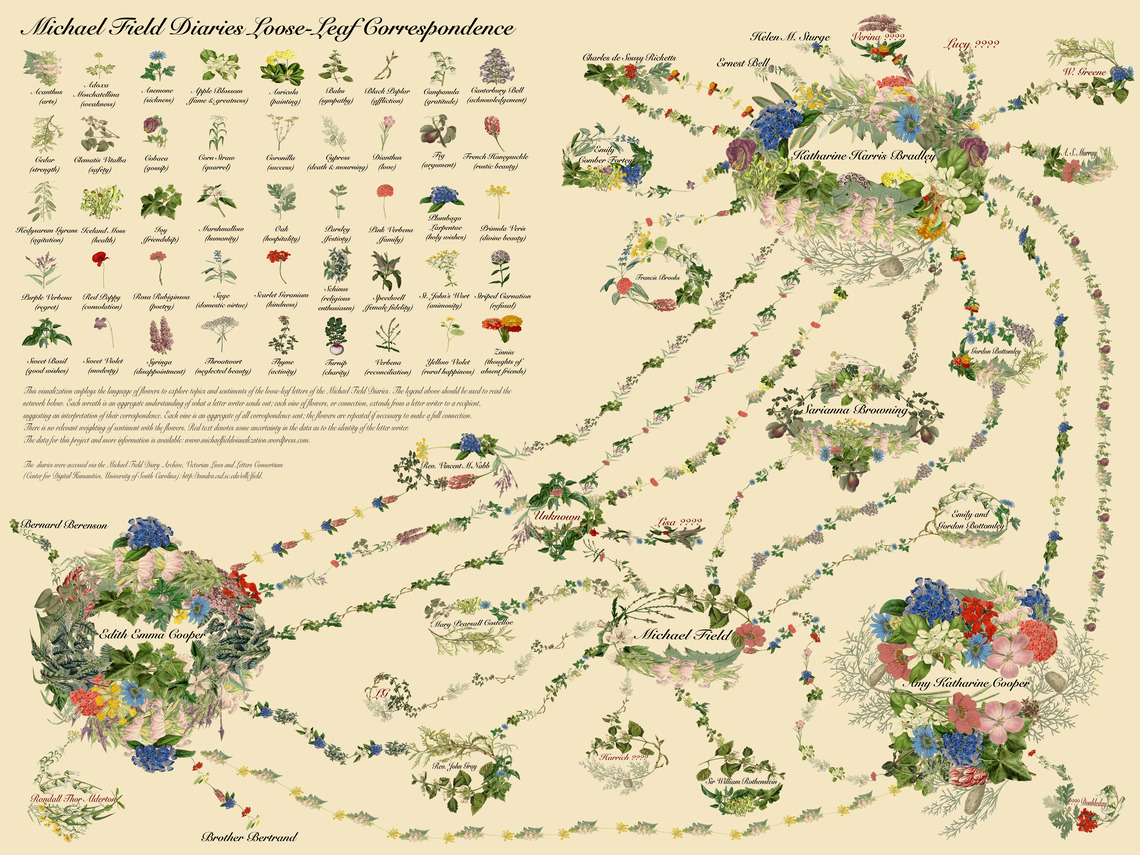 Michael Field Visualization